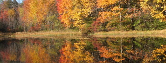 emotionheader7245413490